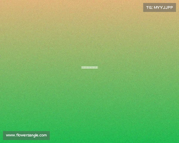 斯洛克赛事直播免费观看