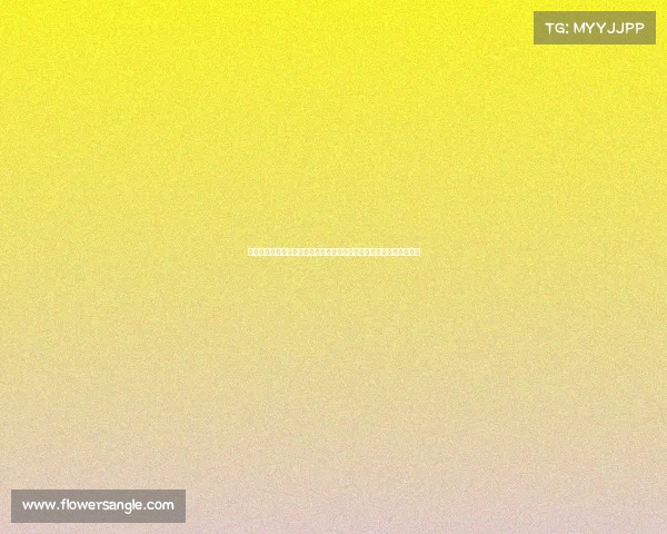 最新拳坛赛事泰森富里对阵乌西克重量级统一战震撼开启引爆全球热议