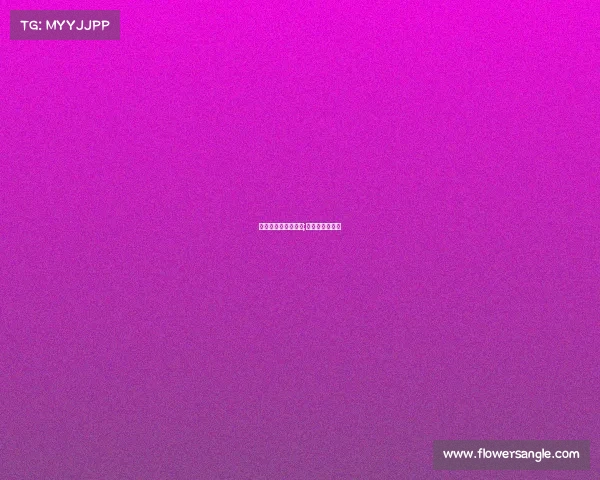 女排今年有哪些赛事;今年女排的战绩