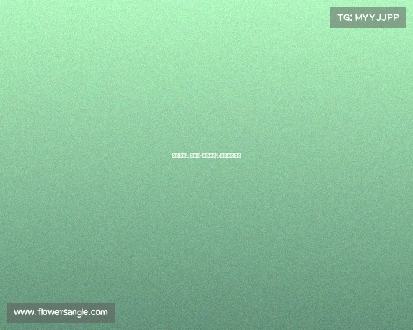 欧洲足球5大赛事-欧洲足球5大赛事是什么